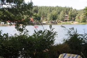 斯沃尔纳加西耶Domek z Widokiem.的享有湖泊美景,拥有房屋和树木