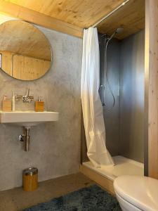 VnaBijoux in the Swiss mountains的带淋浴、盥洗盆和卫生间的浴室