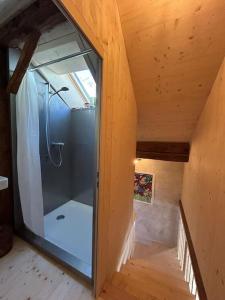 VnaBijoux in the Swiss mountains的木屋内带淋浴的浴室