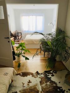 RixensartLa maisonnette du lac de Genval的一间带盆栽植物的卧室和一张带窗户的床