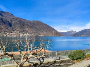 门德里西奥4.5 locali magnifica vista lago e parking pubblico的享有以山脉为背景的湖泊美景