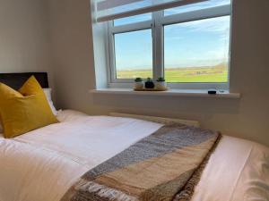 莱瑟姆-圣安妮Large Lytham Home - The Birds View by Holiday Heim的一间卧室设有一张床和一个带仙人掌的窗户。