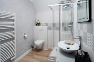 萨尔拉拉卡内达La Bayardine的浴室配有卫生间、盥洗盆和淋浴。