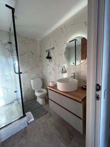 卡拉甘达люкс квартира в центре города - все удобства - ждем Вас!的一间带水槽、卫生间和镜子的浴室