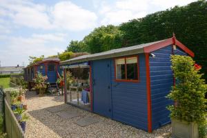 布里德波特Colly Farm的花园中的一个蓝色和红色的棚子