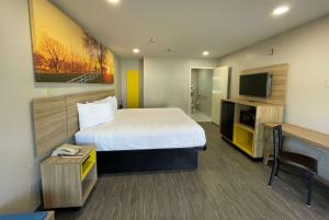 圣安东尼奥Days Inn by Wyndham Seaworld Lackland AFB的酒店客房设有一张大床和一张书桌。