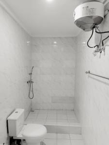 AsoCentral District Apartment (Abuja)的白色的浴室设有卫生间和淋浴。