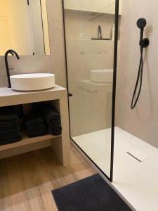 尼乌波特Luxe appartement `t Sant Nieuwpoort Bad的带淋浴、水槽和镜子的浴室