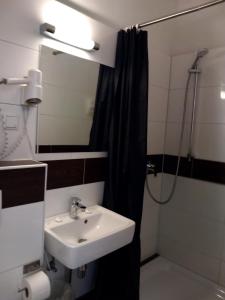 杜塞尔多夫卡洛林格酒店的一间带水槽和淋浴的浴室