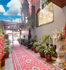 新德里Southwest Inn - Boutique Hotel的满盆栽和红色地毯的房间