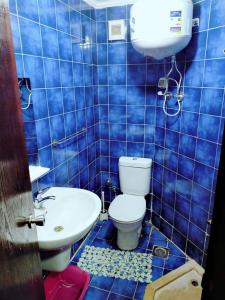 马特鲁港Porto Matroh ViP Spechial的蓝色瓷砖浴室设有卫生间和水槽