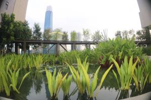 吉隆坡Axon Service Suites At Bukit Bintang KL的一座建筑前的池塘,