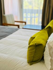 提兹尼特Hotel Idou Tiznit的床上的绿色枕头