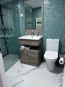 芒通Petit coin de paradis的浴室配有卫生间、盥洗盆和淋浴。