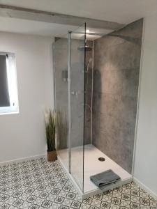 DurrenentzenEDEN的浴室里设有玻璃门淋浴
