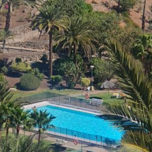 圣阿古斯丁Casa panorama 314 San Agustín Maspalomas的享有棕榈树游泳池的顶部景致
