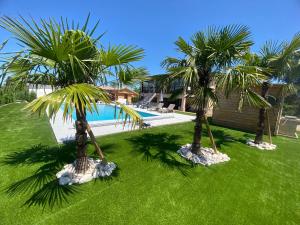 GriègesStudio chez l'habitant avec piscine commune的两棵棕榈树,在游泳池旁
