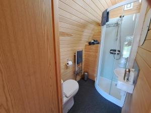 特鲁罗Robin- Ensuite Glamping Pod的一间带卫生间和水槽的小浴室