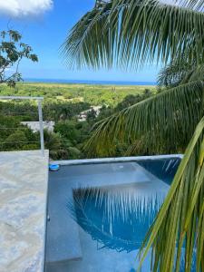 里奥圣胡安Villa-Fede 4 habitaciones en Rio San Juan的海景游泳池