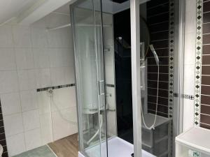 Habay-la-NeuveChez nathalie的浴室设有玻璃淋浴间,铺有黑白瓷砖