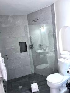 瓜纳华托Suites del Jardín Principal的带淋浴、卫生间和盥洗盆的浴室