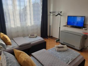 尼什Despot Apartmani Niš的客厅配有两张床和一台平面电视