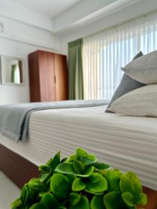 尼甘布Ocean Breeze Hotel Residencies BritLanka Apartments Negombo的一间卧室,配有一张床,桌子上种植了绿色植物