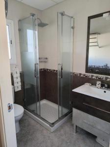 塞维利亚Casa El limonero的带淋浴、卫生间和盥洗盆的浴室