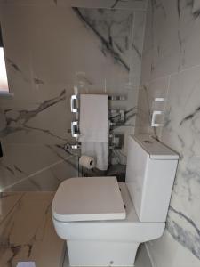CantleyRoom in Detached Annex的浴室设有白色卫生间和大理石墙壁。