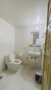 达卡Chittagong Hotel & Apartment Service的白色的浴室设有卫生间和水槽。