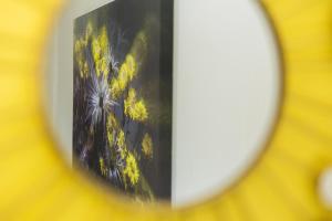 逊邱伦Rozendal Guest House的镜子中黄色的花朵反射