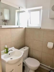 拉姆尼库沃尔恰Casa Daria的浴室配有白色卫生间和盥洗盆。