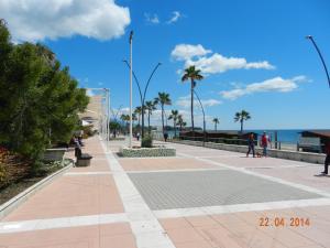EsteponaApartment Parque Central的棕榈树和大海的海滨人行道