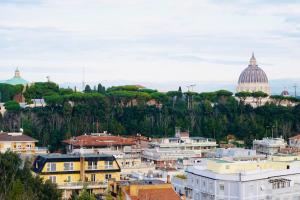 罗马Appartamento vista San Pietro的城市景观,以圆顶为背景