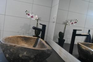 NättrabyhamnApartment Berghem Grönadal Nättraby的浴室设有两个带鲜花的水槽