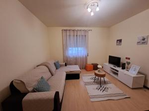 蓬塔德尔加达Apartment Sweet Home的带沙发和电视的客厅