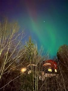 奥斯陆The best view in Oslo的享有夜间树木建筑的景色