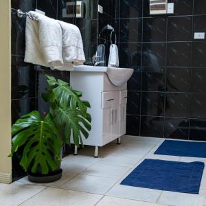 南迪Croton House, Nadi的浴室设有白色水槽和蓝色地毯。