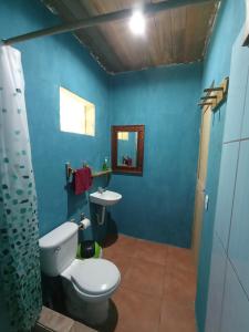 IzabalReserva Natural Cañón Seacacar的蓝色的浴室设有卫生间和水槽