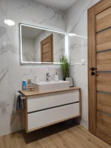 劳耶克特普利采Nový Útulný Apartmán Katka Rajecké Teplice的一间带水槽和镜子的浴室