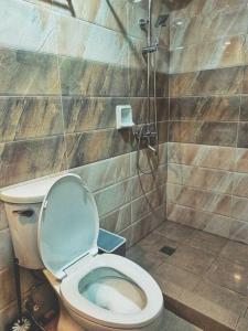碧瑶Evergreen Suites Cozy Baguio Loft Retreat的一间带卫生间和淋浴的浴室