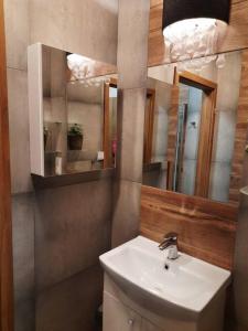 卡托维兹Urocze mieszkanie z parkingiem的一间带水槽和镜子的浴室