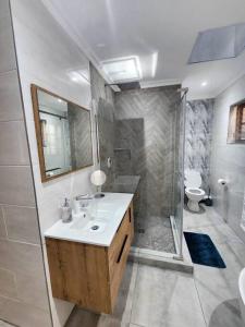 比勒陀利亚Margate Manor的一间带水槽、淋浴和卫生间的浴室