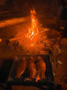科代卡纳尔Papathi farm house的烤架,两只鸡翅和火