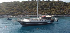 卡斯Albatros-Q的山水中的船