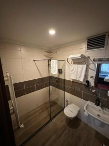 阿克恰阿巴德New Akçaabat Hotel的带淋浴、卫生间和盥洗盆的浴室