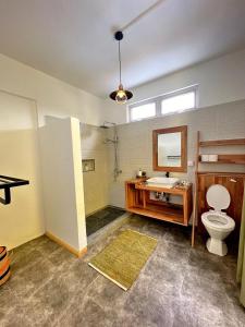 Rodrigues IslandL'oiseau vert apartments的一间带卫生间、水槽和镜子的浴室
