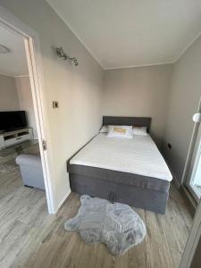 贝尔格莱德Viewpoint的一间小卧室,配有一张床和电视