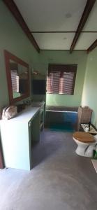 Adansonia Farm的一间带卫生间、水槽和镜子的浴室