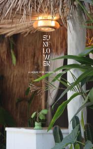 丽贝岛Sunflower Guesthouse and Animal Rescue - Koh Lipe的挂在桌子上的一盏灯,上面挂着植物